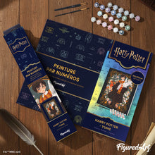 Afbeelding in Gallery-weergave laden, Schilderen op Nummer - Harry Potter - Yume