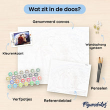 Afbeelding in Gallery-weergave laden, Schilderen op Nummer - Superman en Krypto