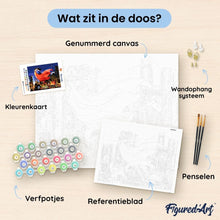 Afbeelding in Gallery-weergave laden, Schilderen op Nummer - Superman en Lois in de lucht