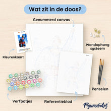 Afbeelding in Gallery-weergave laden, Schilderen op Nummer - Superman tussen de wolken