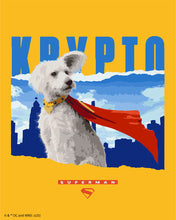 Afbeelding in Gallery-weergave laden, Schilderen op Nummer - Superman - Krypto met skyline