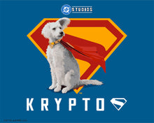 Afbeelding in Gallery-weergave laden, Schilderen op Nummer - Superman - Krypto met “S”-schild