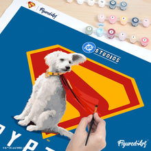 Afbeelding in Gallery-weergave laden, Schilderen op Nummer - Superman - Krypto met “S”-schild