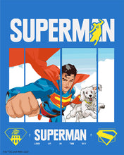 Afbeelding in Gallery-weergave laden, Schilderen op Nummer - Superman vliegend met Krypto