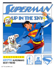 Afbeelding in Gallery-weergave laden, Schilderen op Nummer - Superman in de lucht