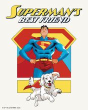 Afbeelding in Gallery-weergave laden, Schilderen op Nummer - Supermans beste vriend