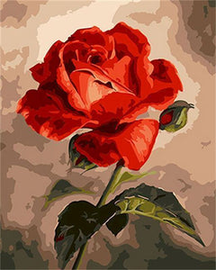 Schilderen op Nummer - Mooie rode roos