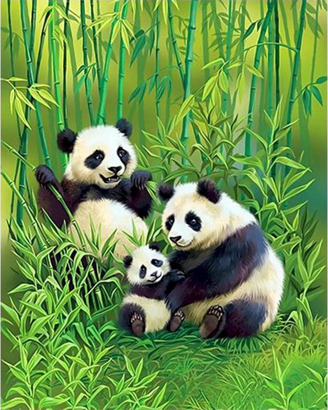 Schilderen op Nummer - Familie van panda's in het bos