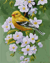Afbeelding in Gallery-weergave laden, Schilderen op Nummer - Vogel op een bloeiende tak