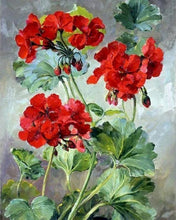 Afbeelding in Gallery-weergave laden, Schilderen op Nummer - Rode Geraniums