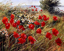 Afbeelding in Gallery-weergave laden, Schilderen op Nummer - Wilde bloemen op het platteland