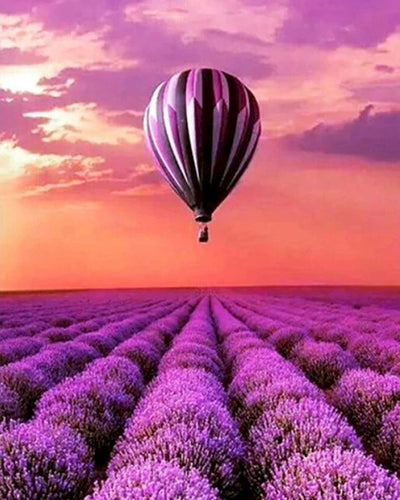 Schilderen op Nummer - Hete ballon en veld van lavendel