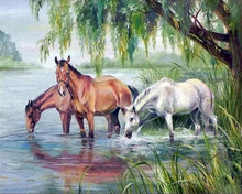 Afbeelding in Gallery-weergave laden, Schilderen op Nummer - Drie paarden in de buurt van het meer