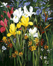 Afbeelding in Gallery-weergave laden, Schilderen op Nummer - Kleurrijk bloemenveld