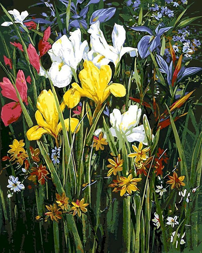 Schilderen op Nummer - Kleurrijk bloemenveld