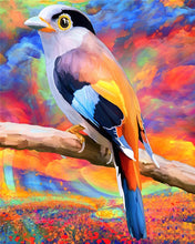 Afbeelding in Gallery-weergave laden, Schilderen op Nummer - Vogel en kleuren