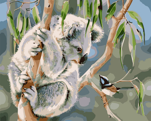 Schilderen op Nummer - Koala en vogel