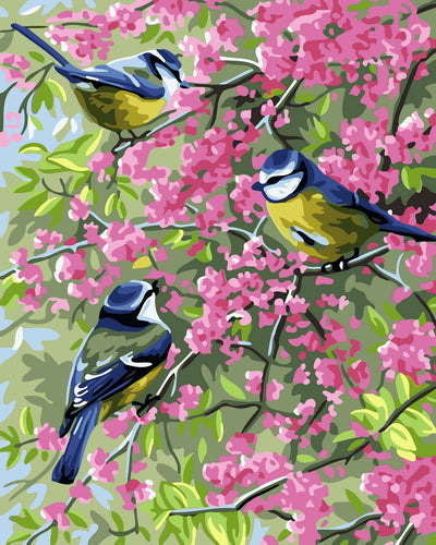 Schilderen op Nummer - Drie vogels op bloeiende takken