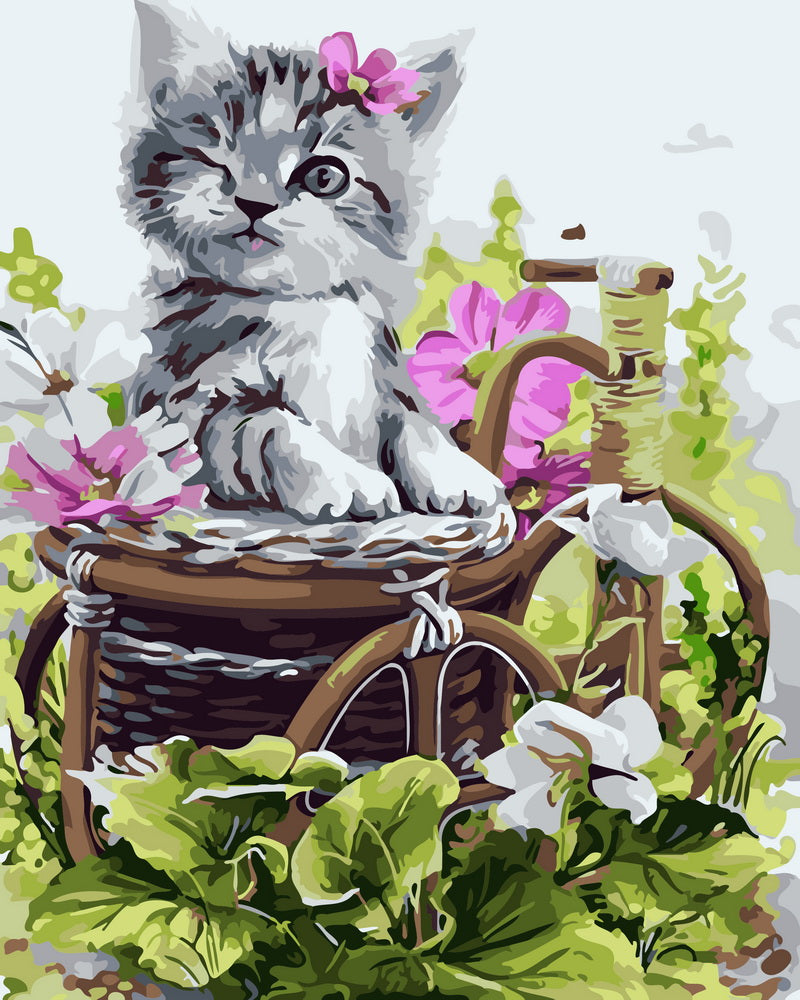 Schilderen op Nummer - Schattige grijze kitten