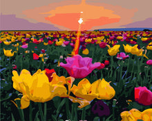 Afbeelding in Gallery-weergave laden, Schilderen op Nummer - Zonsondergang en bloemenvelden