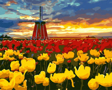 Afbeelding in Gallery-weergave laden, Schilderen op Nummer - Molen en rode en gele tulpen