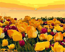 Afbeelding in Gallery-weergave laden, Schilderen op Nummer - Tulpenvelden