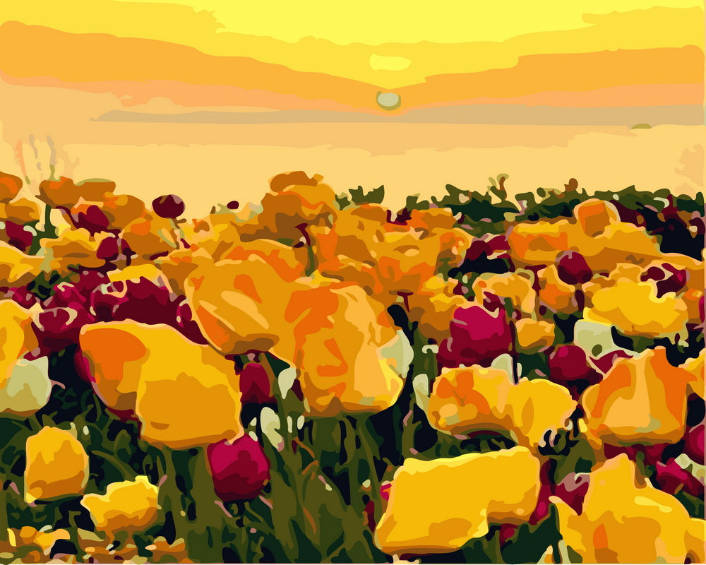 Schilderen op Nummer - Tulpenvelden