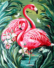 Afbeelding in Gallery-weergave laden, Schilderen op Nummer - Mooie roze flamingo&#39;s en gebladerte