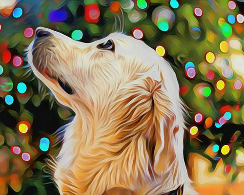 Schilderen op Nummer - De kunst van de hond