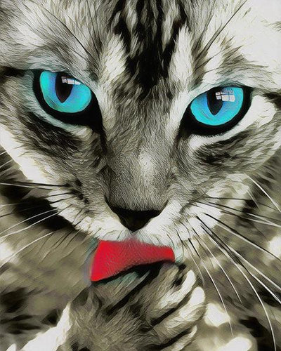 Schilderen op Nummer - Het kattenoog