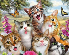 Afbeelding in Gallery-weergave laden, Schilderen op Nummer - De familie van katten