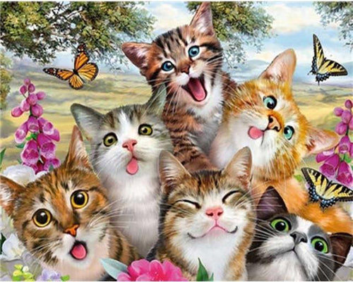 Schilderen op Nummer - De familie van katten