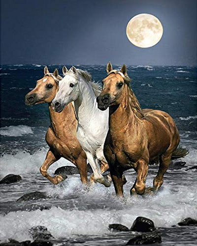 Diamond Painting - Paarden aan de kust