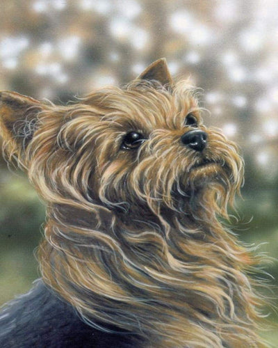 Diamond Painting - Portret van een leuke hond