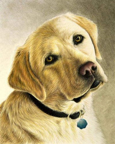 Diamond Painting - Portret van een Labrador