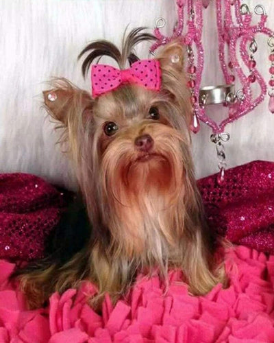 Diamond Painting - Hond en roze achtergrond