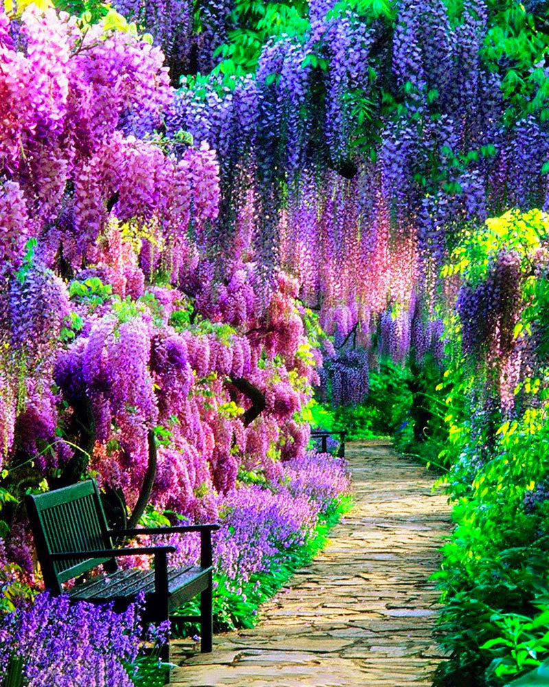 Diamond Painting - Pad in een lichte tuin