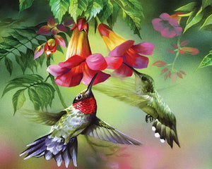 Diamond Painting - Colibris en hun bloemen