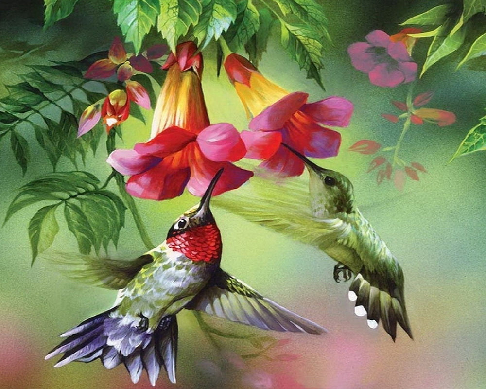 Diamond Painting - Colibris en hun bloemen