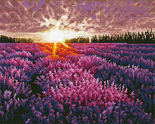 Afbeelding in Gallery-weergave laden, Diamond Painting - Lavendelveld