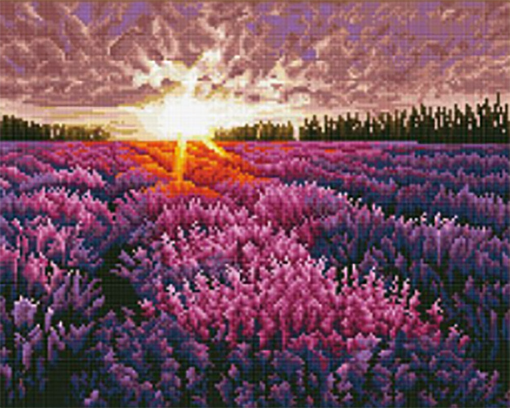 Diamond Painting - Lavendelveld