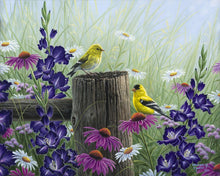 Afbeelding in Gallery-weergave laden, Schilderen op Nummer - Goldfinch Paar