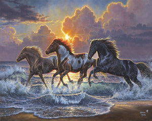 Schilderen op Nummer - Drie paarden en zee
