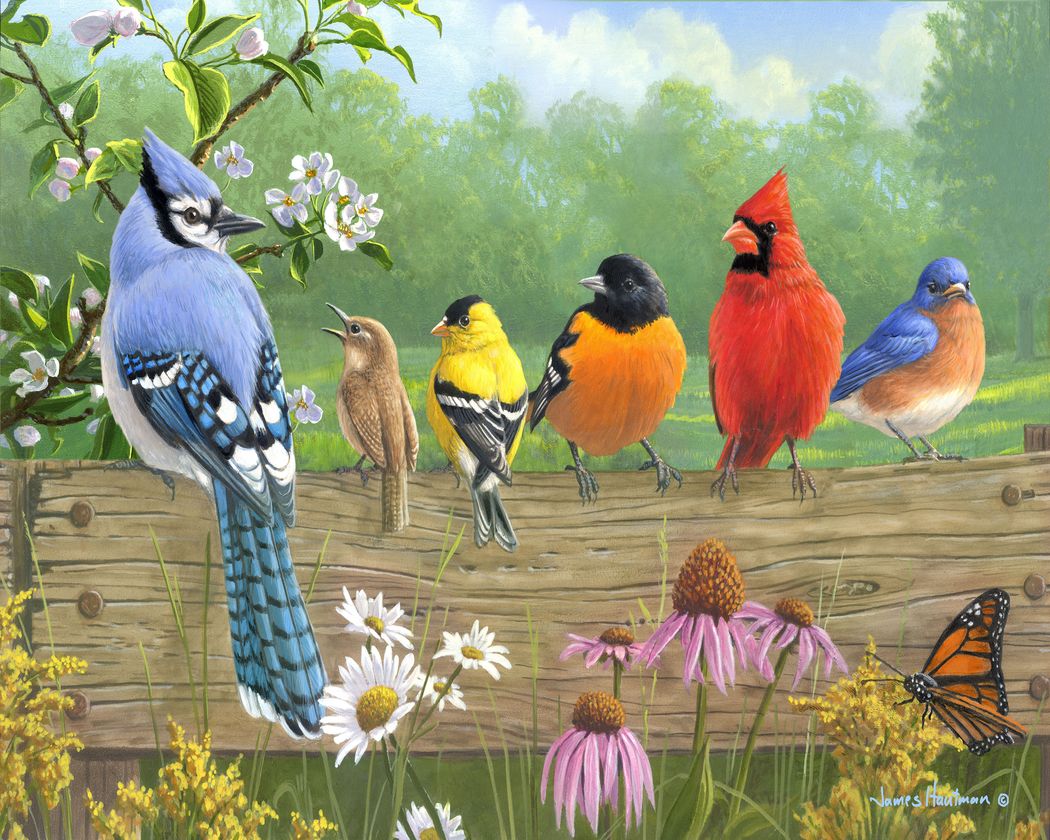 Schilderen op Nummer - Vogels op een hek