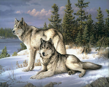 Afbeelding in Gallery-weergave laden, Schilderen op Nummer - Wolfspaar