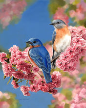 Afbeelding in Gallery-weergave laden, Schilderen op Nummer - Blauw vogelpaar