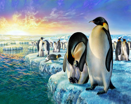 Schilderen op Nummer Pinguïns op het ijs Figured'Art gemiddeld nieuwkomers dieren pinguïns landschappen