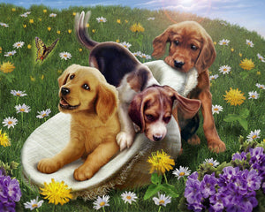Schilderen op Nummer Spelen met vrienden Figured'Art gemiddeld nieuwkomers dieren honden bloemen