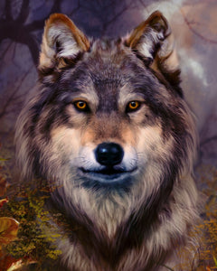 Schilderen op Nummer Wolfshoofd Figured'Art gemiddeld nieuwkomers dieren wolven