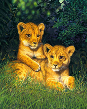Afbeelding in Gallery-weergave laden, Schilderen op Nummer Leeuwenwelpen Figured&#39;Art gevorderd nieuwkomers dieren leeuwen